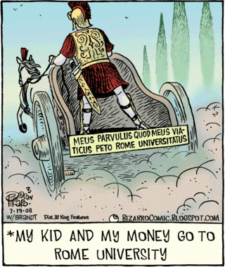 Bizarro cartoon, by Piraro, 2008 (and a discussion on why the bumper sticker is badly translated)