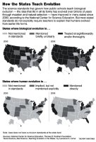 Copyright 2008 by the New York Times
