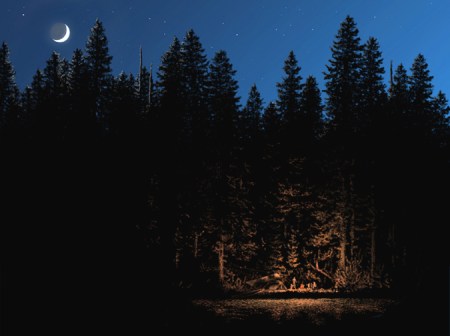 Campfire, by Carl Buell. Copyright Carl Buell, all rights reserved; used with permission