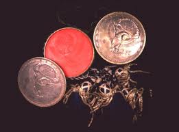 Seal of the U.S. affixed to Texas Statehood Proclamation