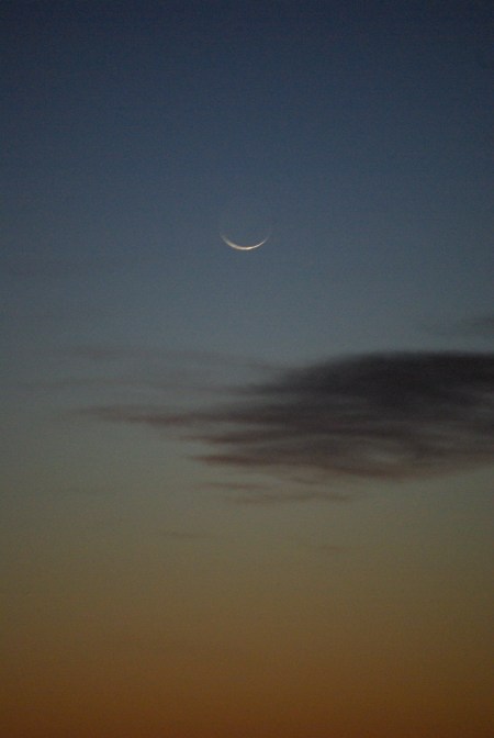 New Moon over Grand Prairie Texas, looking for Comet Pan-STARRS, photo by Ed Darrell