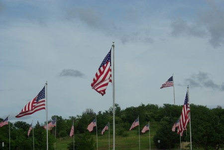 U.S. flags flying at the Dallas-Fort Worth National Cemetery, for Memorial Day 2015. Photo by Ed Darrell. Please use.