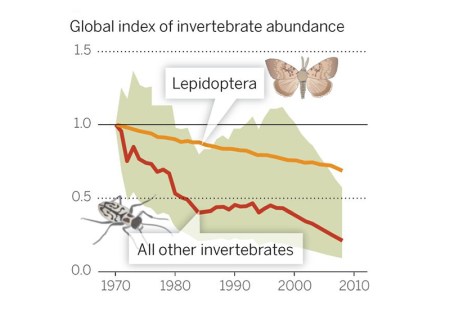 Chart showing the decline of insects worldwide, from Yale e360: "According to global monitoring data for 452 species, there has been a 45 percent decline in invertebrate populations over the past 40 years. DIRZO, SCIENCE (2014)"