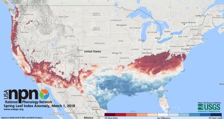 A map of plant growth, including the emergence of leaves and blooms, updated daily tracks the arrival of spring compared to normal seasonal timing over a 50-year period. USGS