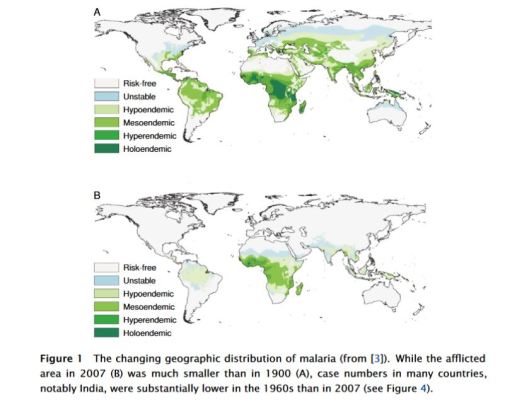 Malaria distribution was greatly reduced in the 20th century, reversing centuries of spreading. But malaria persisted into the 21st century. DDT helped reduce malaria, but the U.S. ban on DDT did not cause a rise in malaria infections or deaths. From a paper by Michael Palmer, M.D,. at Waterloo University.